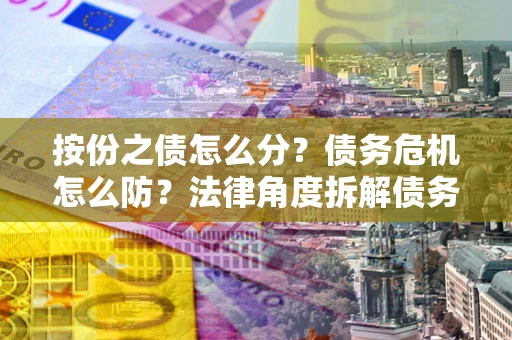 武汉按份之债怎么分？债务危机怎么防？法律角度拆解债务分配与风险自保指南