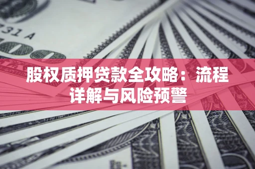 武汉股权质押贷款全攻略：流程详解与风险预警