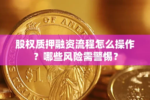 武汉股权质押融资流程怎么操作？哪些风险需警惕？