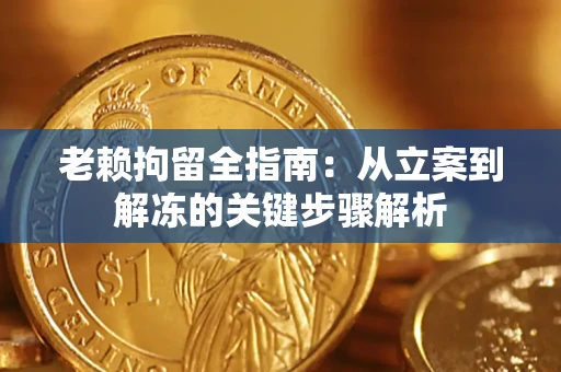 武汉老赖拘留全指南：从立案到解冻的关键步骤解析