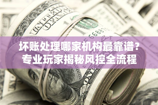 武汉坏账处理哪家机构最靠谱？专业玩家揭秘风控全流程