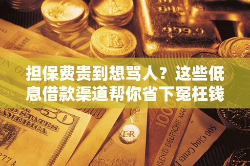 武汉担保费贵到想骂人？这些低息借款渠道帮你省下冤枉钱