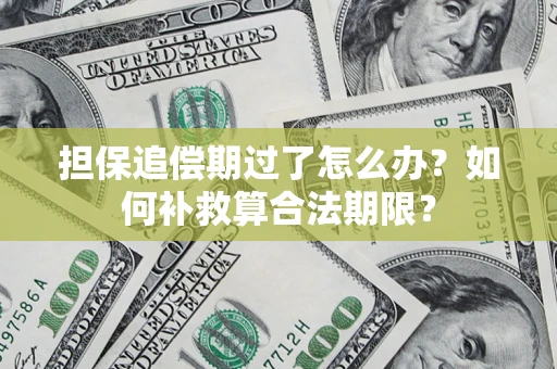 武汉担保追偿期过了怎么办？如何补救算合法期限？