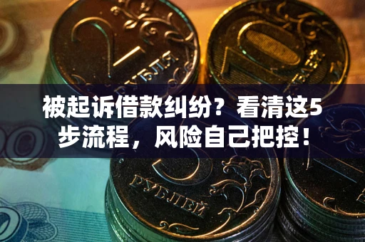 武汉被起诉借款纠纷？看清这5步流程，风险自己把控！