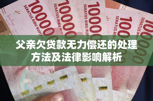 武汉父亲欠贷款无力偿还的处理方法及法律影响解析