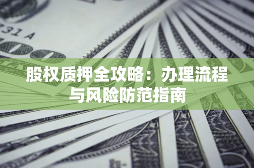 武汉股权质押全攻略：办理流程与风险防范指南