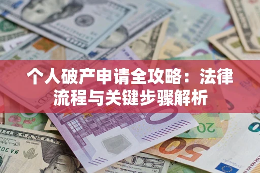 武汉个人破产申请全攻略：法律流程与关键步骤解析
