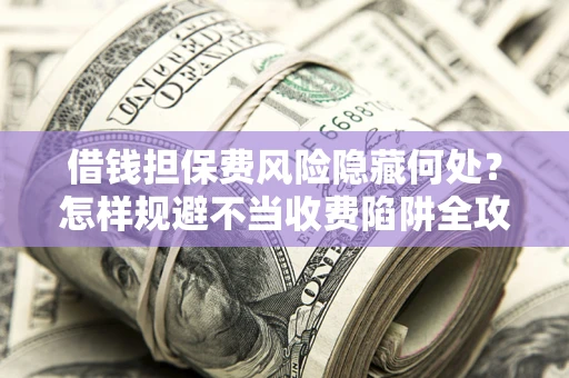 武汉借钱担保费风险隐藏何处？怎样规避不当收费陷阱全攻略！