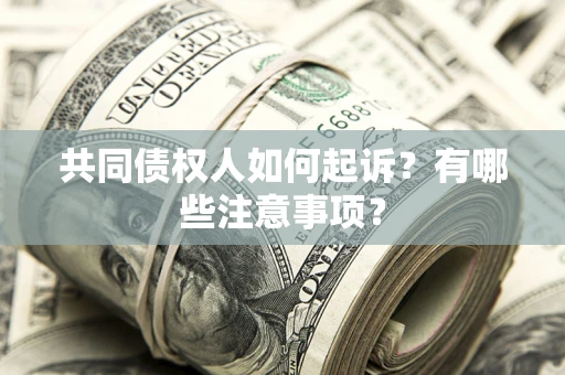 武汉共同债权人如何起诉？有哪些注意事项？